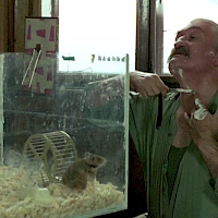 »Černí baroni« (© Barrandov studio)