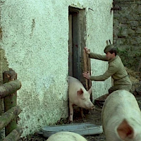 »Černí baroni« (© Barrandov studio)