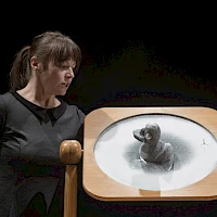 © Jana Vyšohlídová